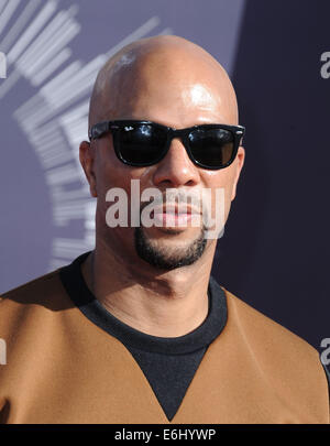 Los Angeles, Kalifornien, USA. 24. August 2014. Gemeinsame Teilnahme an den 2014 MTV Video Music Awards - Ankünfte statt im The Forum in Inglewood, Kalifornien am 24. August 2014. 2014-Credit: D. Long/Globe Fotos/ZUMA Draht/Alamy Live-Nachrichten Stockfoto