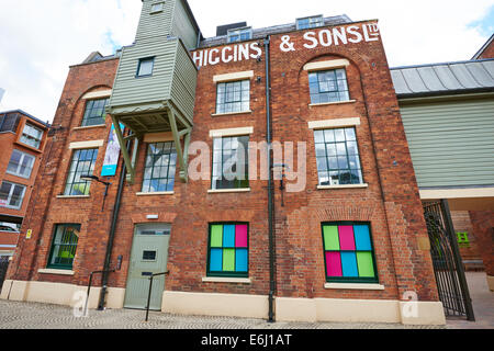 Die Higgins Art Gallery und Museum Schloss Lane Bedford Bedfordshire UK Stockfoto