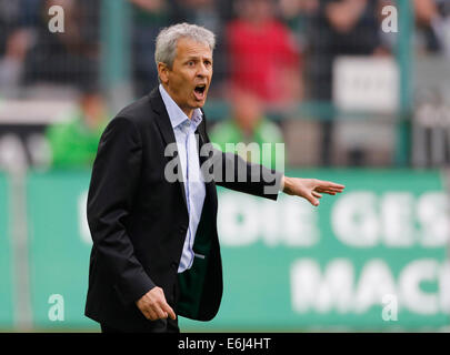 Mönchengladbach, Deutschland. 24. August 2014. Borussia-Park Stadion 24.08.2014 Fußball, DFL, DFB, Saison 2014 / 2015, Spieltag 1 Borussia Mönchengladbach vs. VFB Stuttgart 1: 1 am 24. 08. 2014 im Borussia - Park Stadion in Mönchengladbach-Coach Lucien FAVRE-Foto: Norbert Schmidt/Alamy Live-Nachrichten Stockfoto