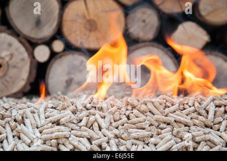 Kiefer pellets vor eine Wand Brennhölzer in Flammen Stockfoto