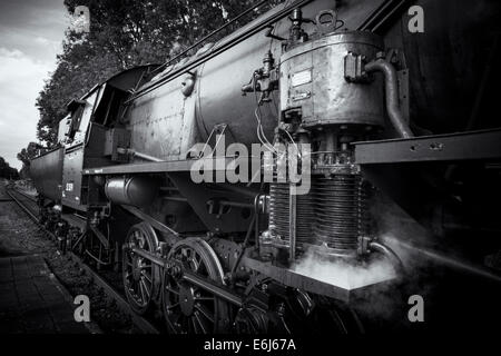 Historische Dampf Lok 523879 der ZLSM am Bahnhof Wijlre in der Provinz Noord-Limburg Stockfoto