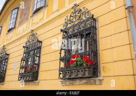 Reich verzierten schmiedeeisernen Fensterläden mit Germanium Pflanzen und gelbe Wand Stockfoto