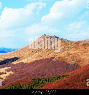 Wunderschöne herbstliche Landschaft in den Bergen Stockfoto
