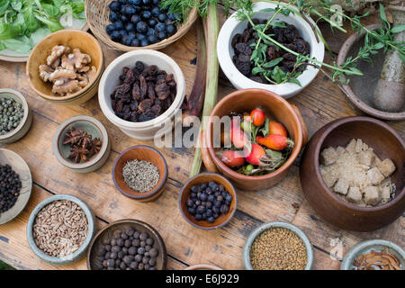 Tabelle der mittelalterliche Speisen einschließlich Muttern Samen Beeren Gemüse und Hülsenfrüchte zu einem historischen re Erlass Stockfoto