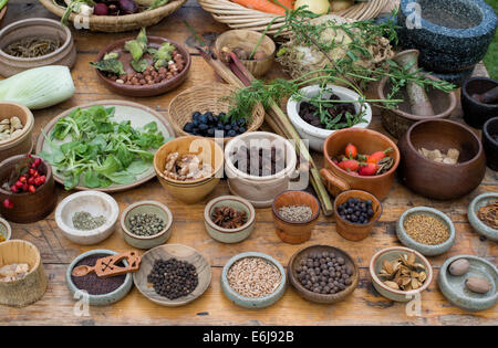 Tabelle der mittelalterliche Speisen einschließlich Muttern Samen Beeren Gemüse und Hülsenfrüchte zu einem historischen re Erlass Stockfoto