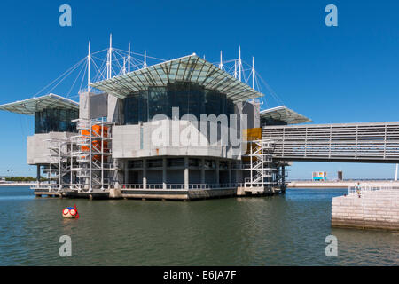 Lissabon, Portugal - 7. August 2014: Lissabonner Ozeanarium, das zweitgrößte Ozeanarium in der Welt und der größte in Europa. Parque Das Nacoes Stockfoto