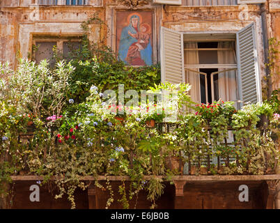 Charakteristische Balkon mit Grünpflanzen und gemalte Ikone, Rom, Italien Stockfoto