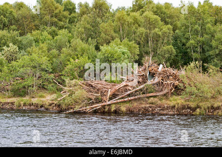 FLUß FINDHORN MORAY SCHOTTLAND BÄUME UND GERÖLL GEWASCHEN OBEN AUF DER BANK NACH EINER ÜBERSCHWEMMUNG Stockfoto