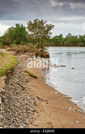 FLUß FINDHORN MORAY SCHOTTLAND MIT DER BANK ZERSTÖRT UND BÄUME UND GERÖLL ANGESPÜLT AUF BEIDEN UFERN NACH EINER ÜBERSCHWEMMUNG Stockfoto