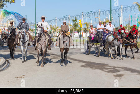 MALAGA, Spanien - 21. August 2014: Reiter und Kutschen fahren auf Malaga August Fair Stockfoto