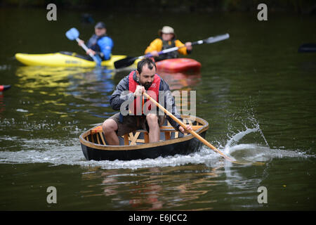 Coracle Regatta am Fluss Severn in Ironbridge Stockfoto