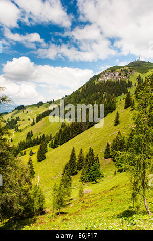 Blick vom Kitzbüheler Horn in Kitzbühel, Österreich Stockfoto