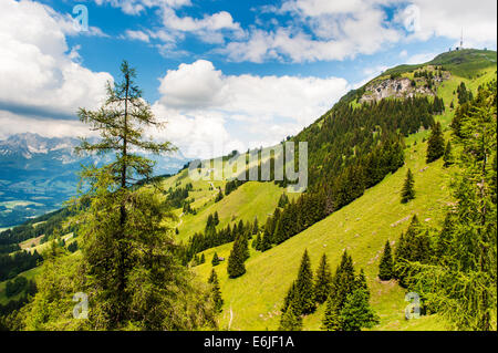 Blick vom Kitzbüheler Horn in Kitzbühel, Österreich Stockfoto