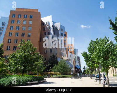 Ray und Maria Stata Centre mit Cambridge, Massachusetts, USA Stockfoto