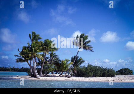 Polynesisches Atoll Motu in Fakarawa Stockfoto