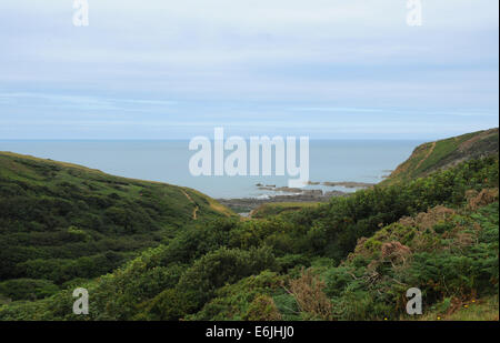 Blick Auf den Strand und den Atlantik vom Gelände der Hartland Abbey an der Norddevon Küste, England, Großbritannien Stockfoto