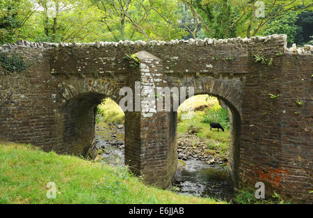 Steinerne Brücke in Hartland Abbey, zwischen Bideford und Bude, an der atlantischen Küste von North Devon, England, UK Stockfoto