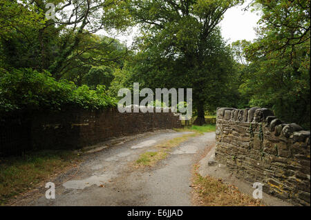 Country Lane Kreuzung über eine Old Stone Bridge in Hartland Abbey, zwischen Bideford und Bude, an der Atlantikküste von Nord-Devon, England, Großbritannien Stockfoto