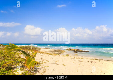 Karibische Meer Landschaft in Playacar (Playa Del Carmen), Mexiko Stockfoto