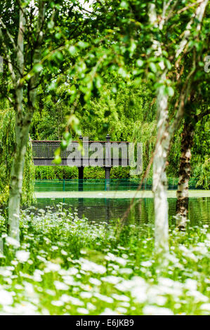 Brücke im Regents Park in London, England, Vereinigtes Königreich Stockfoto