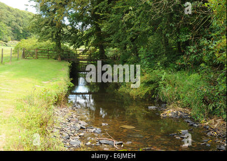 Holzbrücke über einen Bach auf dem Gelände der Hartland Abbey, zwischen Bideford und Bude, an der Atlantikküste von Nord-Devon, England, Großbritannien Stockfoto