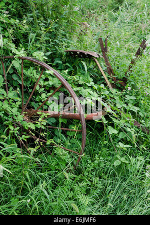 Alte rostige landwirtschaftliche Maschine fallenden Unkraut. Italien. Stockfoto