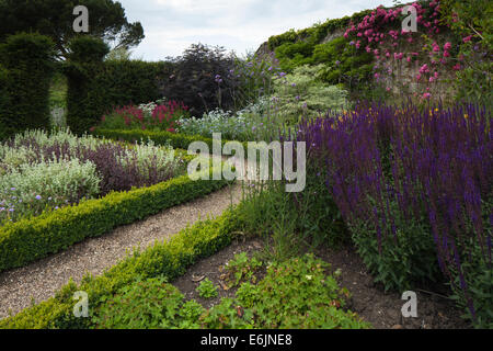 Ein farbenfroher Teil des ummauerten Gartens mit Salvias und einem mit Kastenhedging gesäumten Pfad, Rockingham Castle in der Nähe von Corby in Northamptonshire, England. Stockfoto