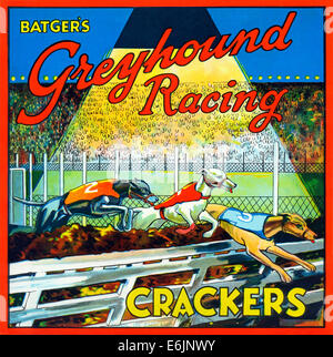 Batgers Greyhound Racing Cracker, 1930 beschriften für eine Box aus London süß und Keks Entscheidungsträger Stockfoto