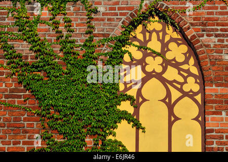 Efeu an der Wand von der Kathedrale von Koenigsberg Stockfoto