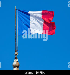 Die französische Flagge. Stockfoto