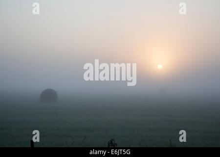 Sonnenaufgang über einer dicken Ballen Nebel in den sehr frühen Morgenstunden über ein Feld von runden Heu. Stockfoto