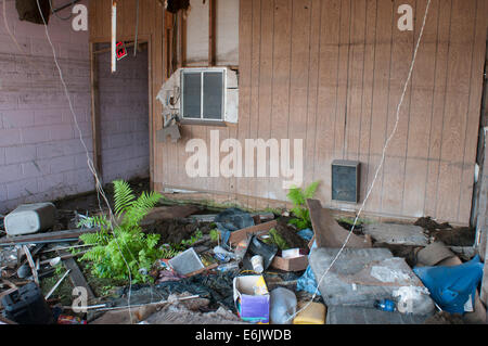 Bewohner wieder aufzubauen, zerstören Häuser und ihr Land zu verkaufen oder um die 9th Ward nach dem Hurrikan Katrina in New Orlean Rückgabe Stockfoto