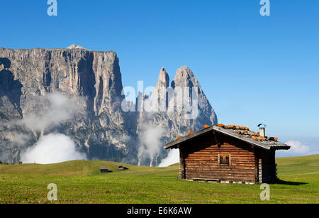 Berghütte, Schlern-massiv oder Schlern-Massivs, Schlern oder Schlern, Seiser Alm Alpe di Siusi, hohe Alm Stockfoto