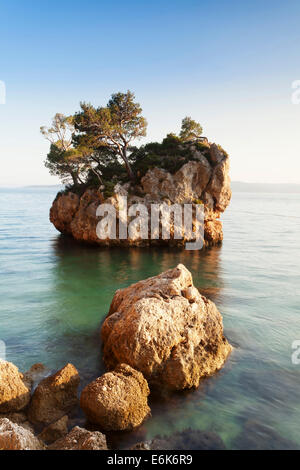 Baum wächst auf einem Felsen im Meer, in der Nähe von Brela, Makarska Riviera, Adria, Adria, Dalmatien, Kroatien Stockfoto