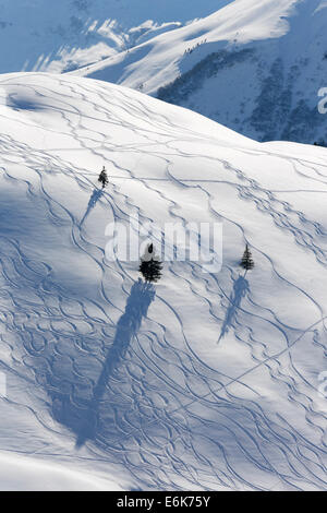 Skipisten im tiefen Schnee, Unterdamülser Alpe, Berg Weide, Damüls, Bregenzerwald, Vorarlberg, Österreich Stockfoto