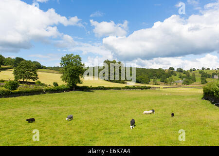 In der Nähe von Sawrey, Blick auf die Landschaft am Hawkshead Lake District, ehemaliges Dorf mit Beatrix Potter Stockfoto