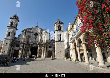 Plaza De La Catedral und Catedral de San Cristobal Havanna Kuba Stockfoto