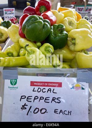 Nahaufnahme von frischen lokalen Paprika zum Verkauf in St. Catharines Bauernmarkt in Ontario, Kanada Stockfoto