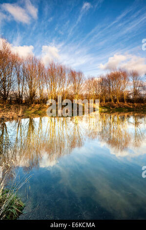 Pickering "Millennium Pond" auf einem herrlich, hell, frostigen Wintermorgen Stockfoto