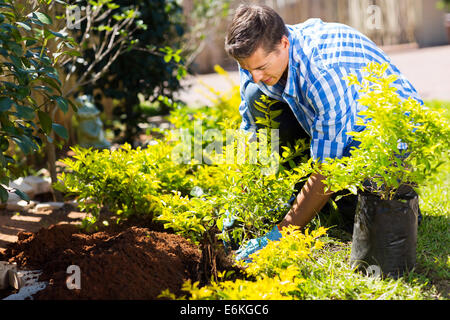 junger Mann, ein neues Werk in seinem Garten Umpflanzen Stockfoto