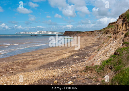 Fossilen Jäger am Strand von Brook Bay, Isle Of Wight. Stockfoto