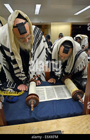 Religiöse jüdische Männer lesen aus der Tora während Wochentag Morgengebet auf eine Synagoge in Brooklyn, New York Stockfoto