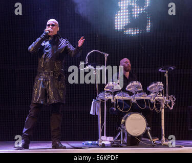 Helmsley, Yorkshire, Großbritannien. 24. August 2014. Als Headliner Sonntag bei Galtres Parklands Festival 2014 Helmsley, North Yorkshire. Bildnachweis: Daniel Easton/Alamy Live-Nachrichten Stockfoto