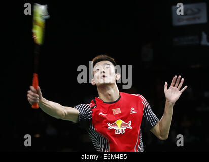 Kopenhagen. 26. August 2014. Chen Long China kehrt das Shuttle während die Männer Runde 1 Singles Match gegen Luka Wraber Österreichs am Tag 2 von Li Ning BWF Weltmeisterschaften 2014 in Ballerup Super Arena in Kopenhagen am 26. August 2014. Chen Long gewann das Spiel mit 2: 0. Bildnachweis: Wang Lili/Xinhua/Alamy Live-Nachrichten Stockfoto