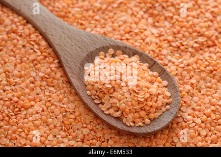 Rote Linsen in einem Holzlöffel auf roten Linsen Hintergrund. Closeup. Stockfoto