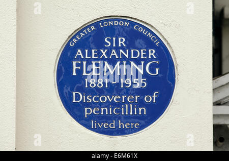 Blaue Plakette für Alexander Fleming an Hauswand, Danvers St, Chelsea, London SW3. Stockfoto