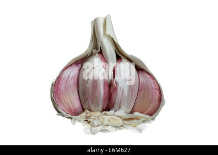 Halb einer Glühbirne von Knoblauch, zeigt einzelne Knoblauchzehen. Stockfoto