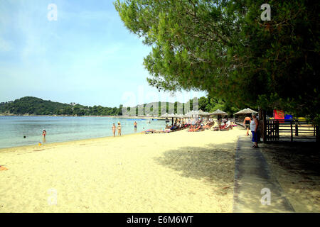 Die beliebten Koukounaries Strand auf der Insel Skiathos auf den griechischen Inseln, Griechenland. Stockfoto