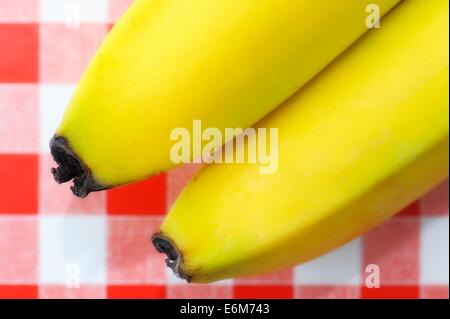 Zwei Bananen auf einem rot karierten Hintergrund Stockfoto
