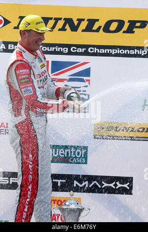 Matt Neal (GBR) Honda Yuasa Racing Team Honda Civic Tourer Stockfoto